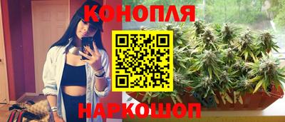 скорость Будённовск