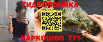 скорость Будённовск
