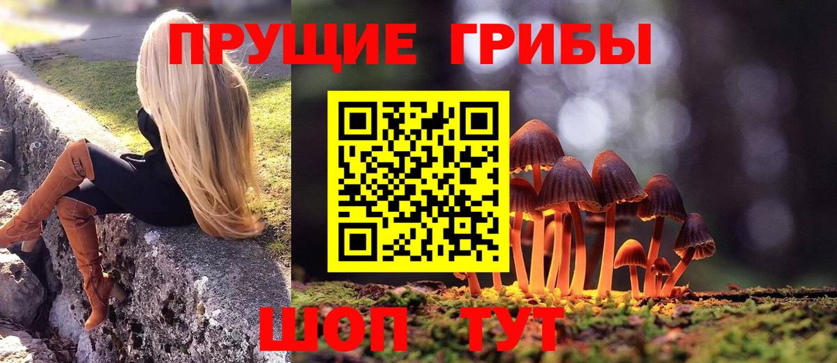 Менделеевск  дарнет шоп  Вход с VPN  Псилоцибиновые грибы Psilocybe 