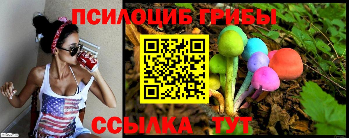 Галлюциногенные грибы Psilocybine cubensis Менделеевск